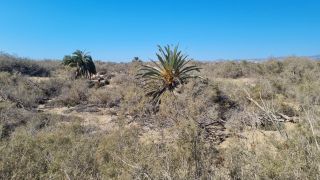 2023-GC--Mapalomas dunas-S123-124.jpg
